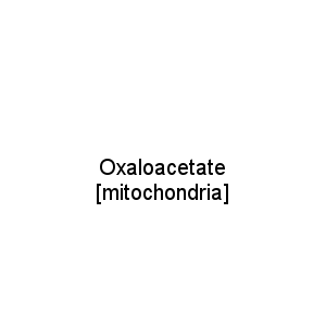 Oxaloacetate [mitochondria]
